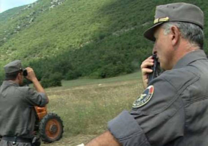 Furto di legna a Corigliano, denunciato un uomo