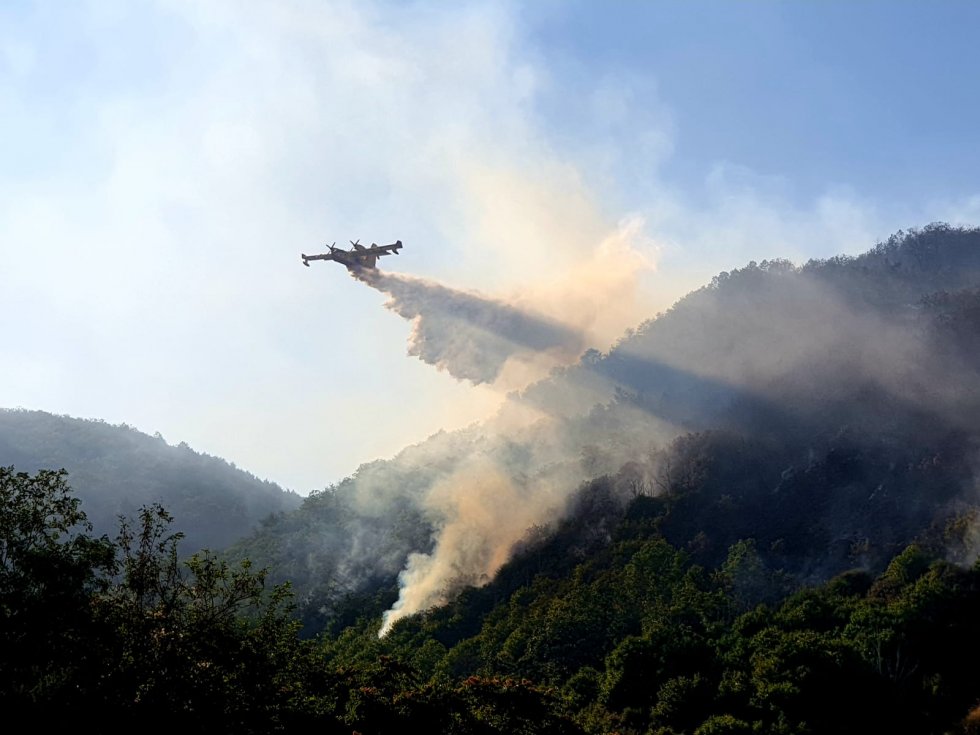 Trenta ettari di castagneto in fiamme sulla montagna di Mongrassano