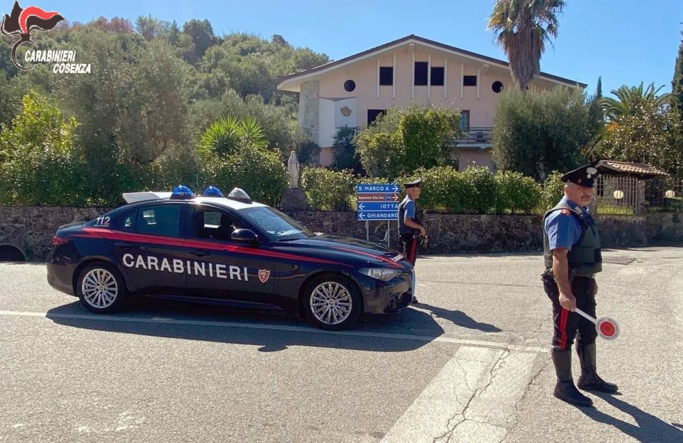 Sequestrate a San Lorenzo oltre 15 piante di cannabis