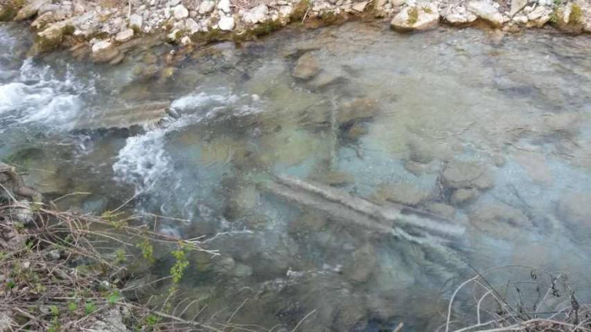 Sequestrato argine del fiume Rosa a San Sosti per inquinamento ambientale