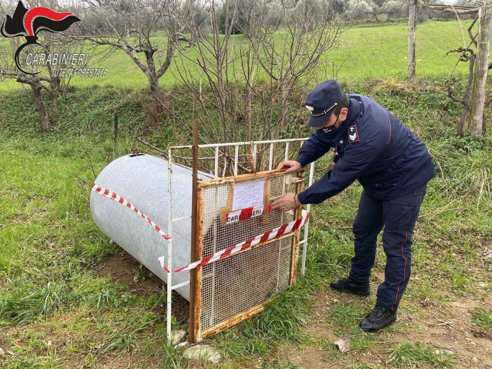 Montalto Uffugo, i Carabinieri Forestale sequestrano una trappola illecita